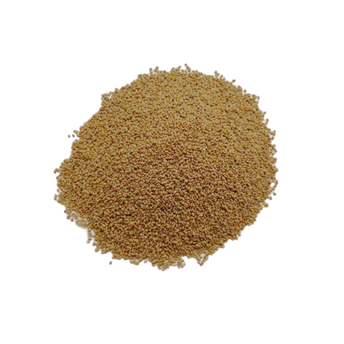 Alfalfa Seeds 1lb