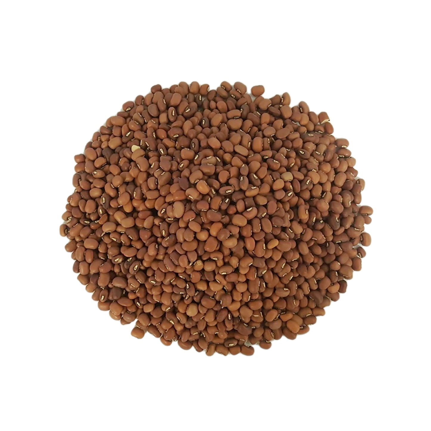 Adzuki Seeds 1lb