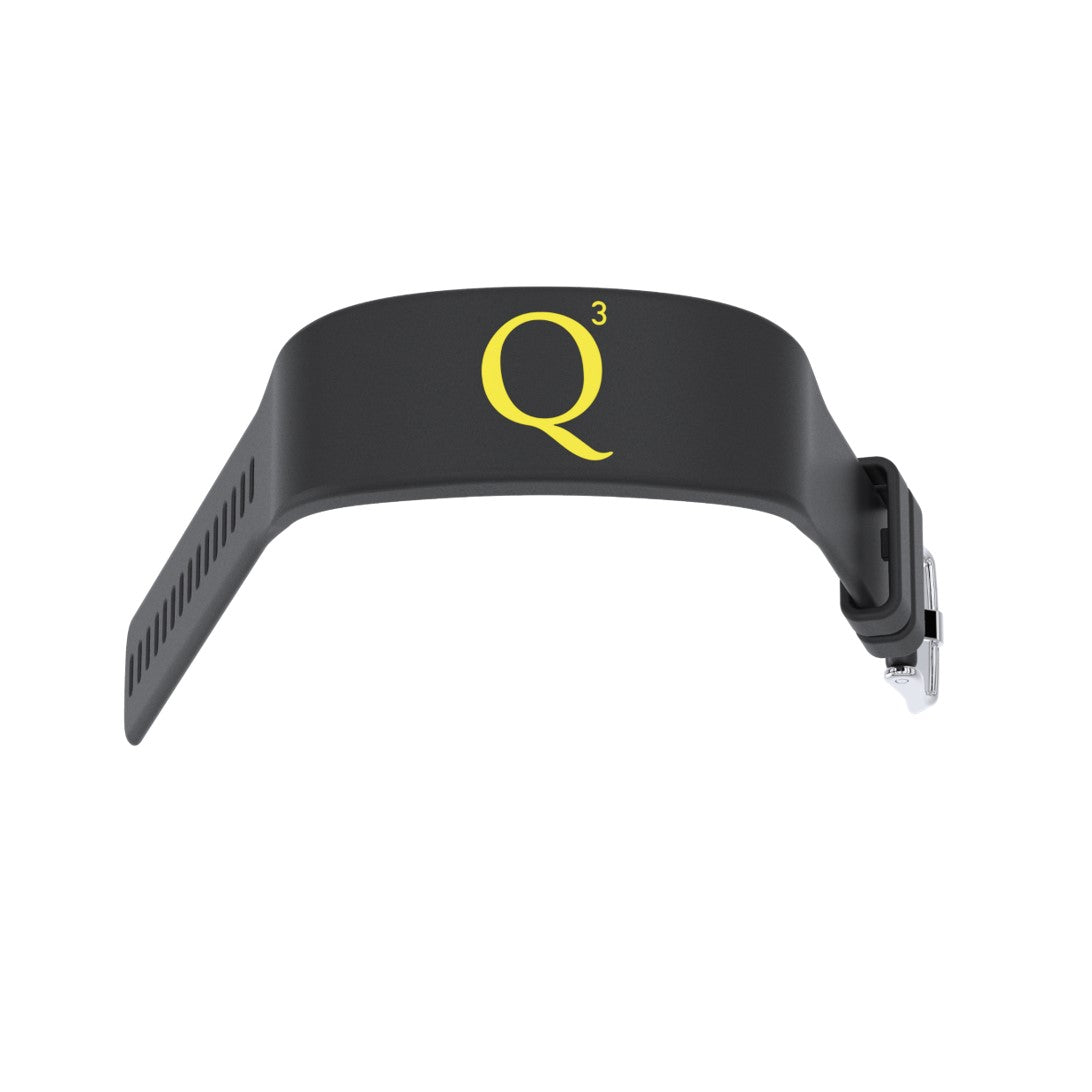 Quantum 3 Wristband, Buckle