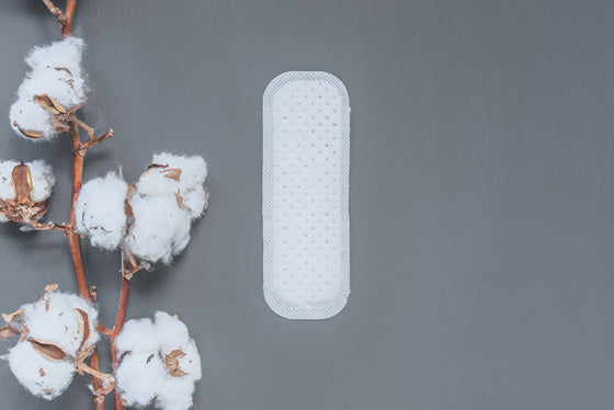 Natracare Natural Panty Liners (30 Mini)