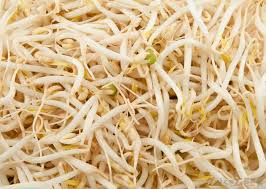 Mung Bean Seeds 1lb