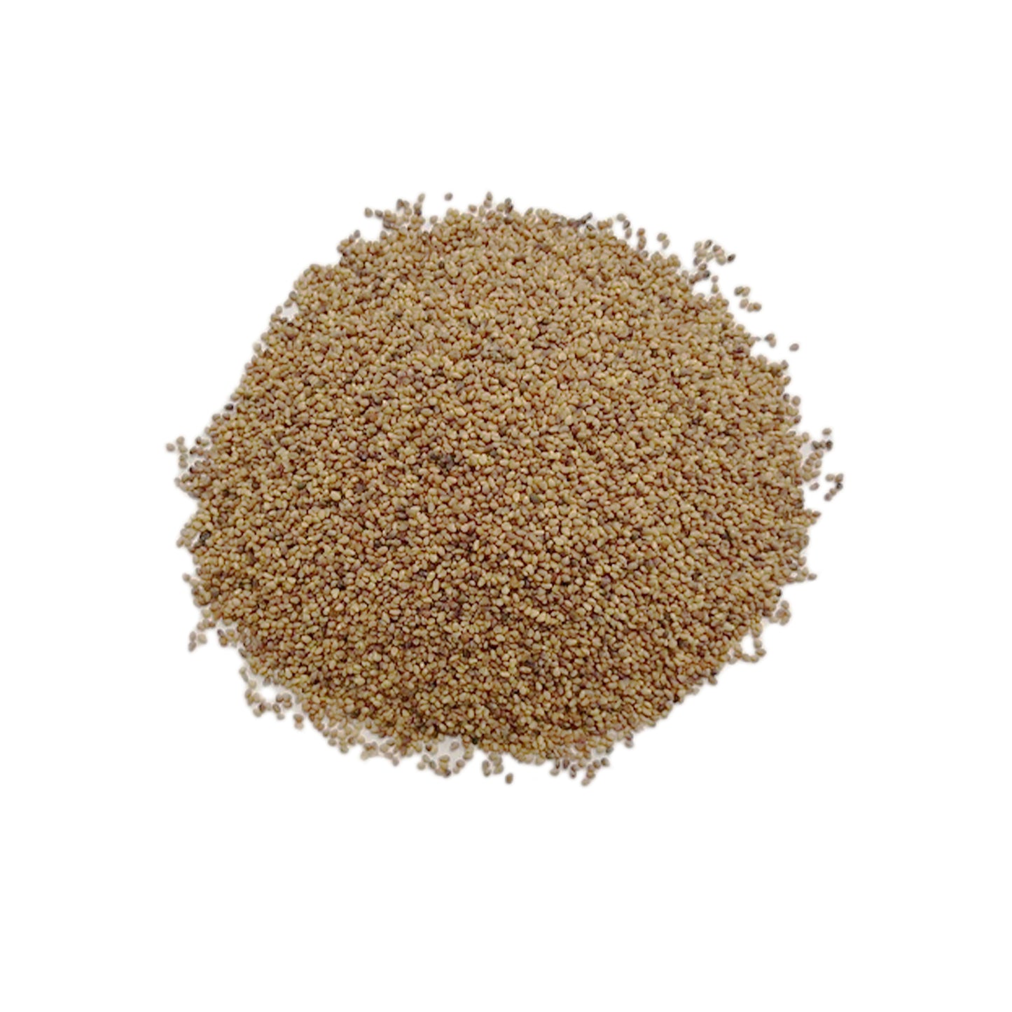 Clover Seeds 1lb