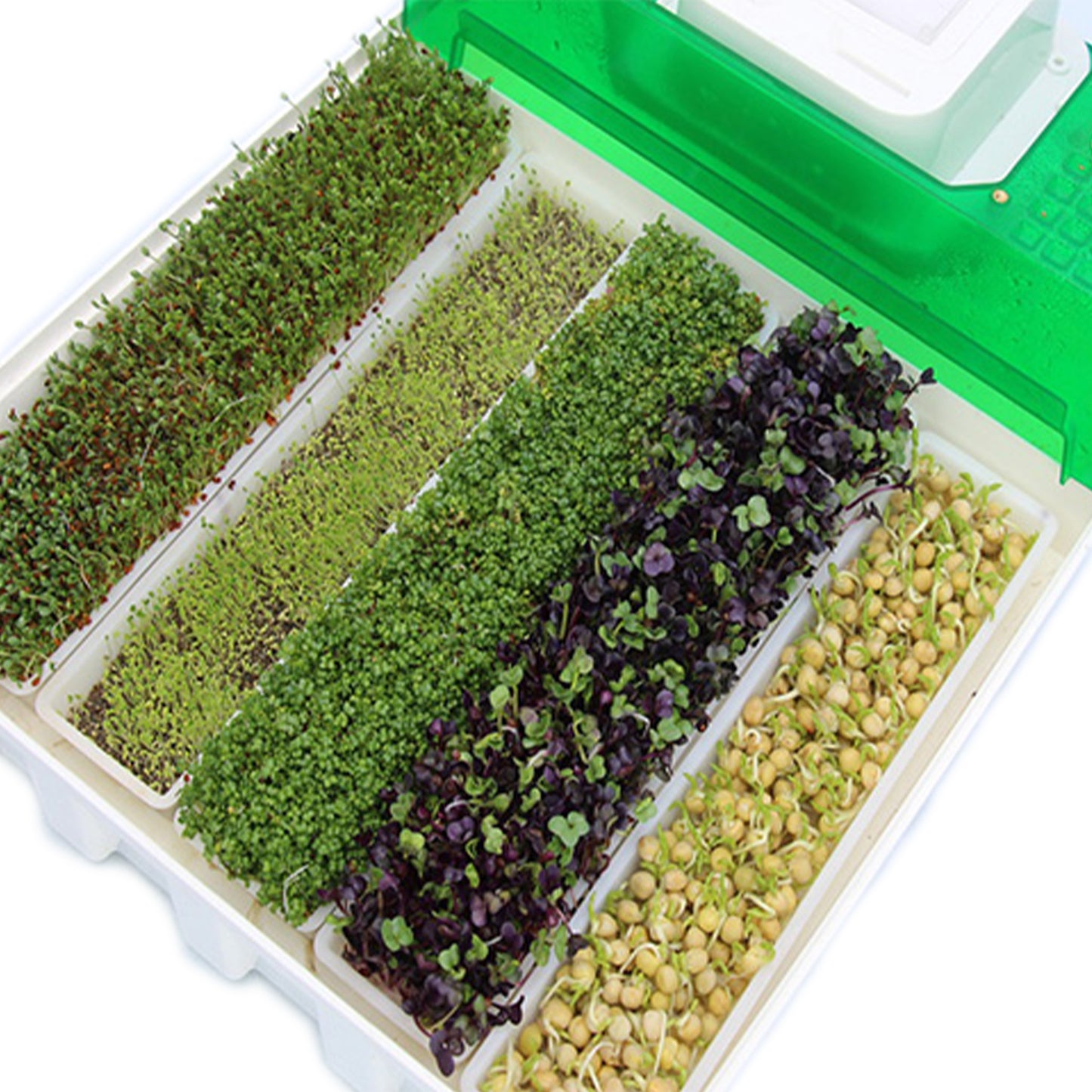 The LifeGive AutoSprout Farm