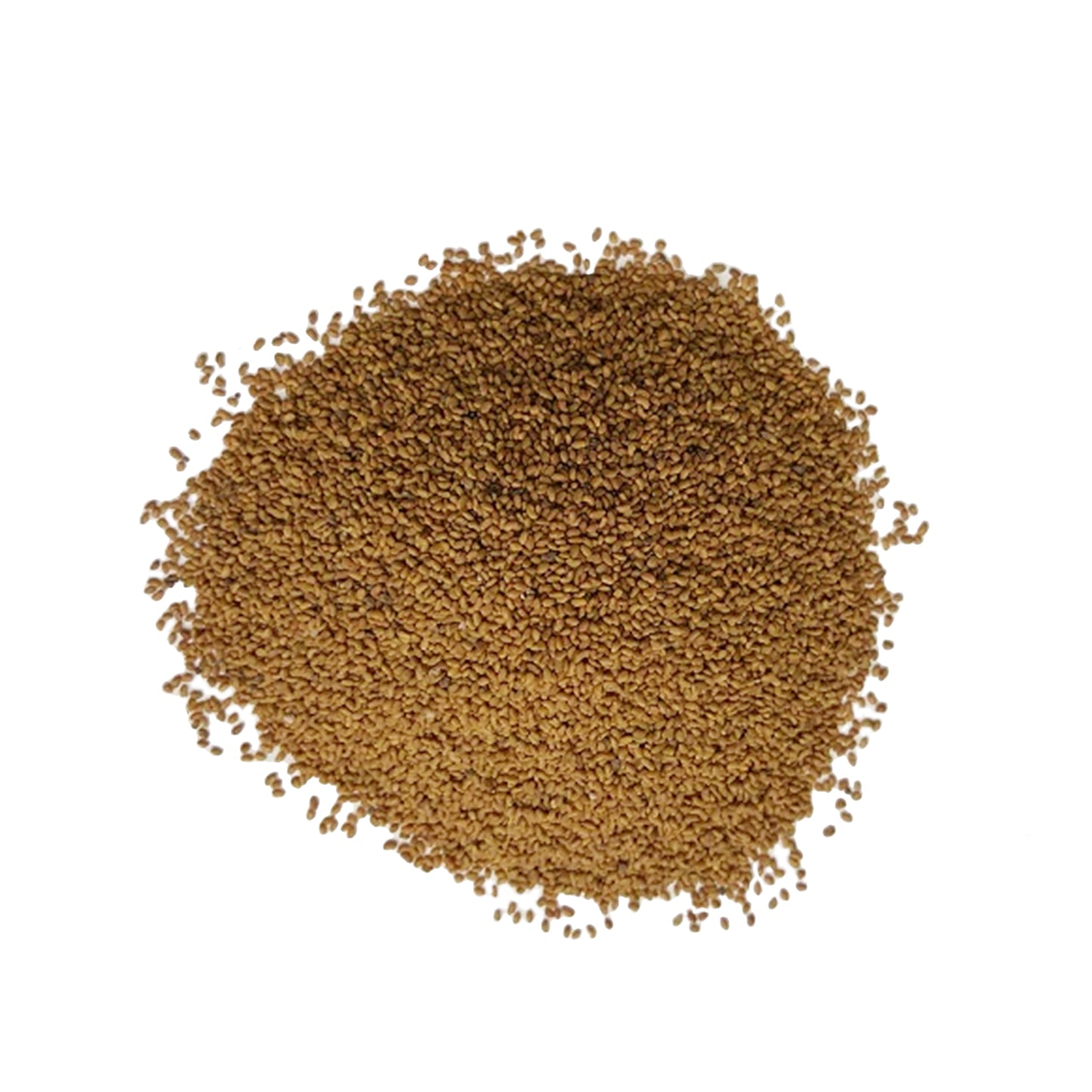 Fenugreek Seeds 1lb