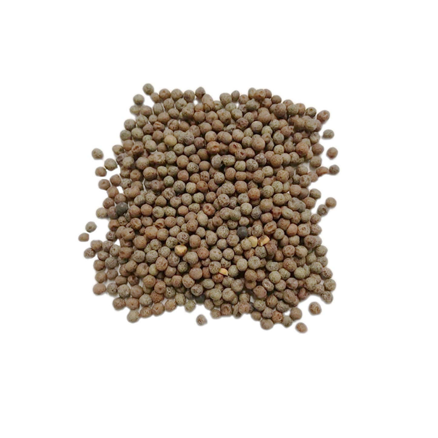 Snow Pea Seeds 1lb