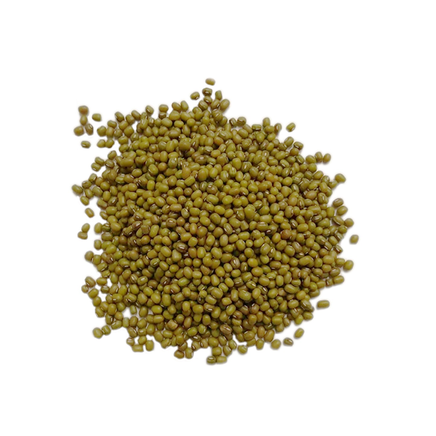Mung Bean Seeds 1lb