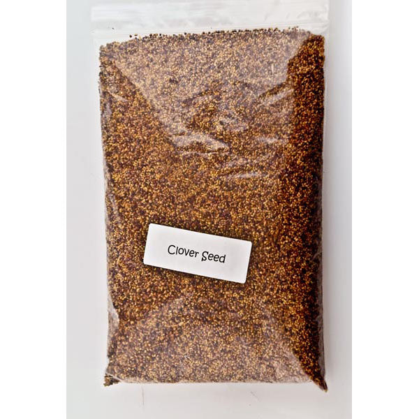 Clover Seeds 1lb