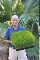 Natural Vibrant Health - Raw Food