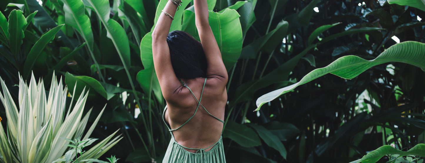 Hippocrates Wellness