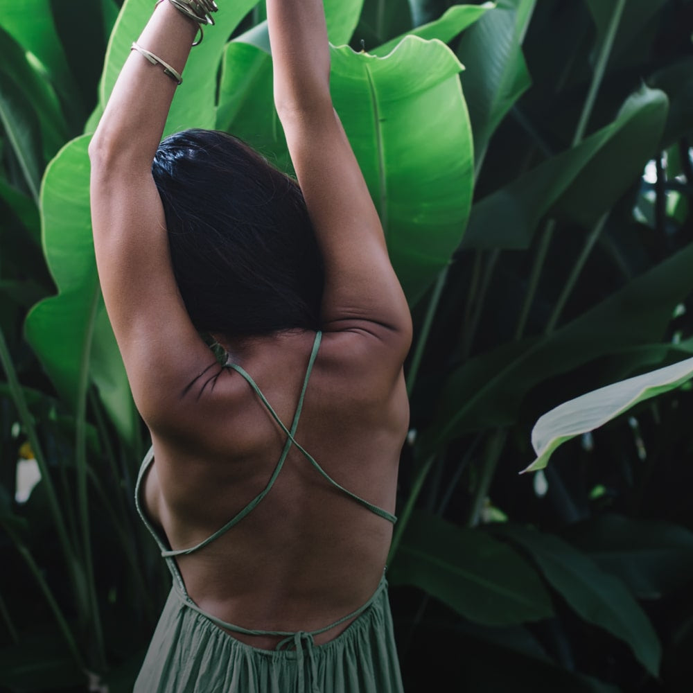 Hippocrates Wellness