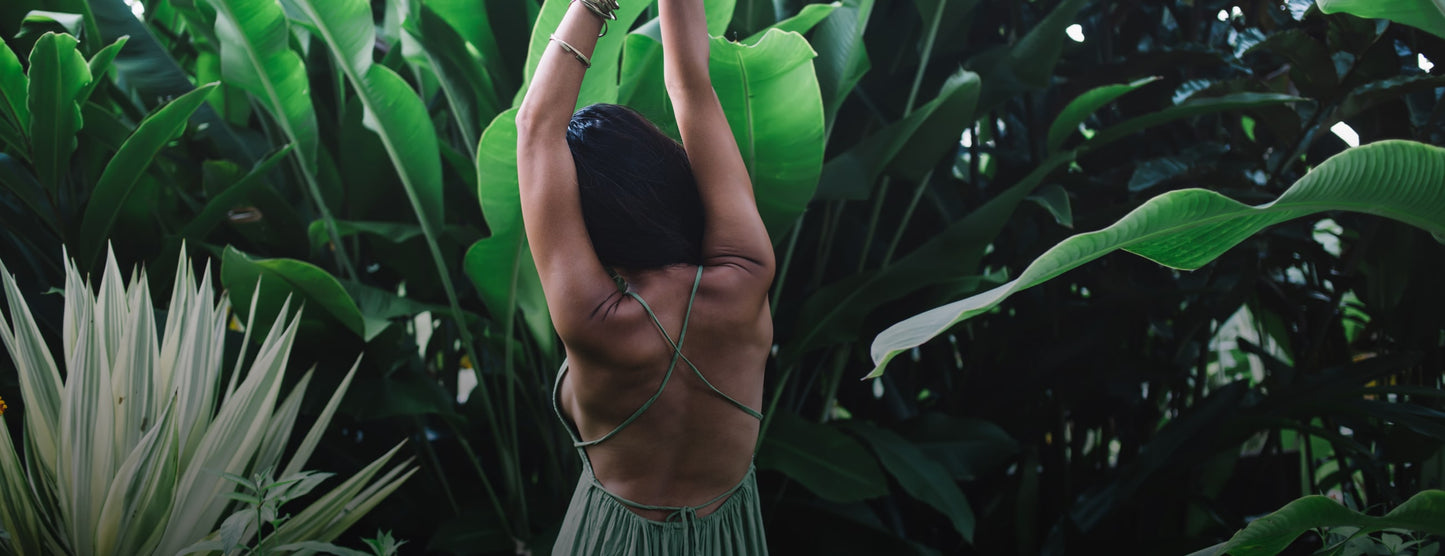 Hippocrates Wellness