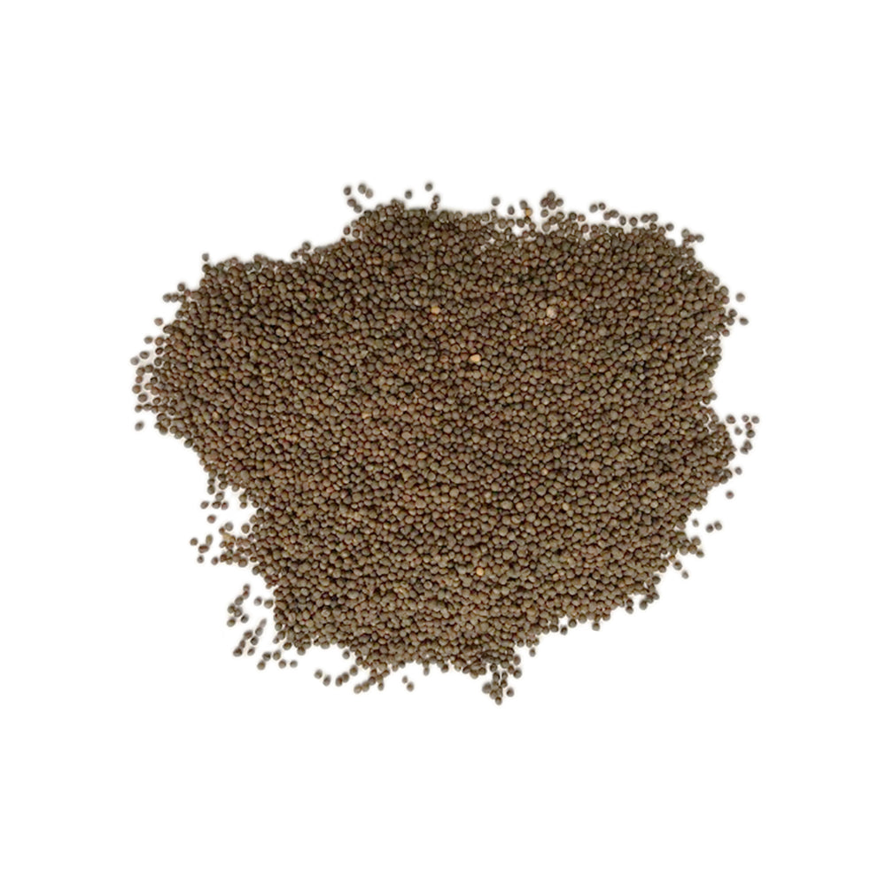 Broccoli Seeds 1lb