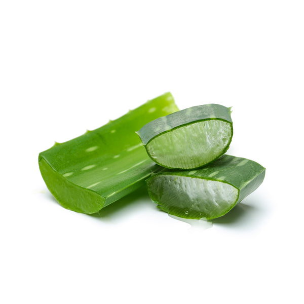 Aloe Vera Gel Fresh Frozen Locally 58 oz – Hippocrates Wellness