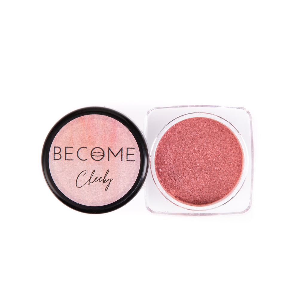 Become Mineral Blush