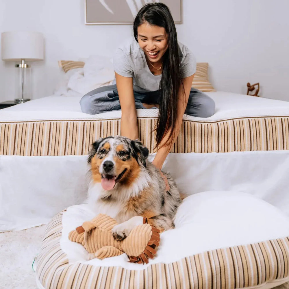 
                  
                    Essentia Classic REM5 Organic Mattress
                  
                
