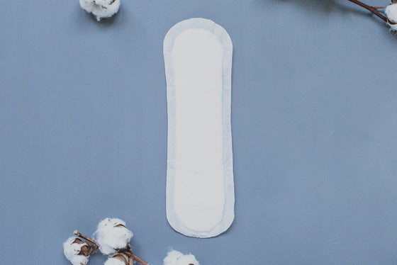 
                  
                    Natracare Natural Pads Regular (14)
                  
                