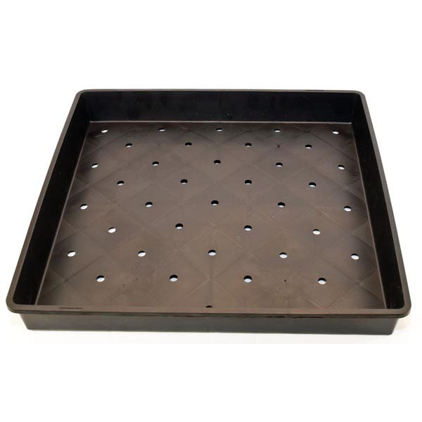 Sprouting Tray (Large)