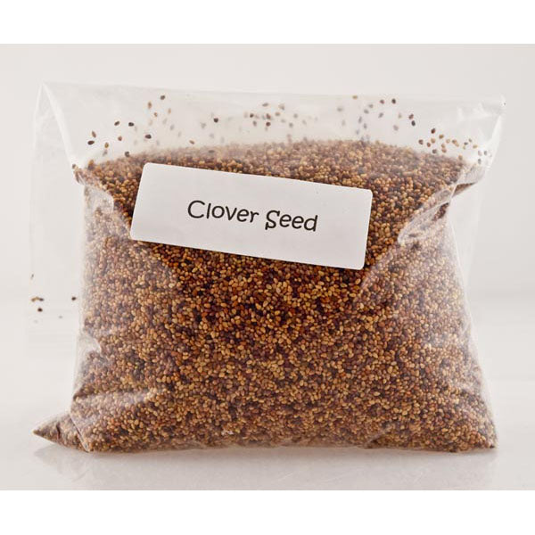 
                  
                    Clover Seeds 1lb
                  
                