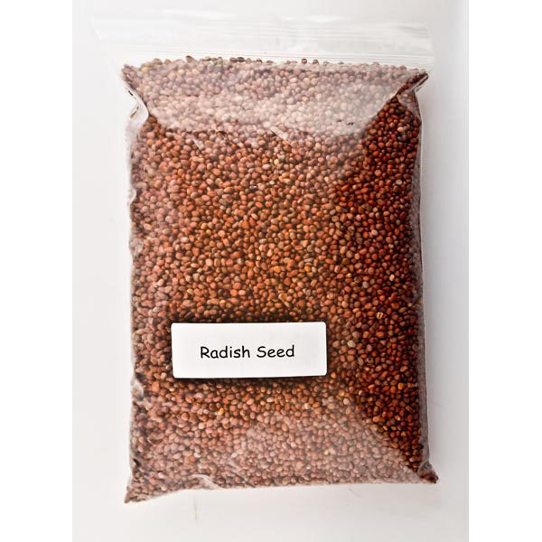 
                  
                    Radish Seeds 1lb
                  
                