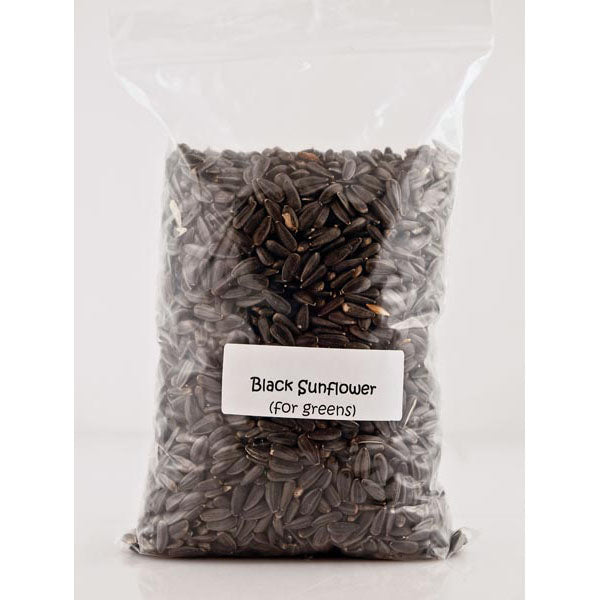 
                  
                    Sunflower Seeds 1lb
                  
                